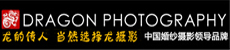 龙摄影