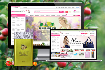 ��ʯ�������̳�